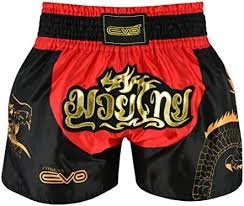 EVO Fitness Spodenki MMA Muay Thai do Grapplingu